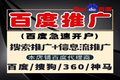 百度竞价SEM案例研究：提升转化率的关键策略